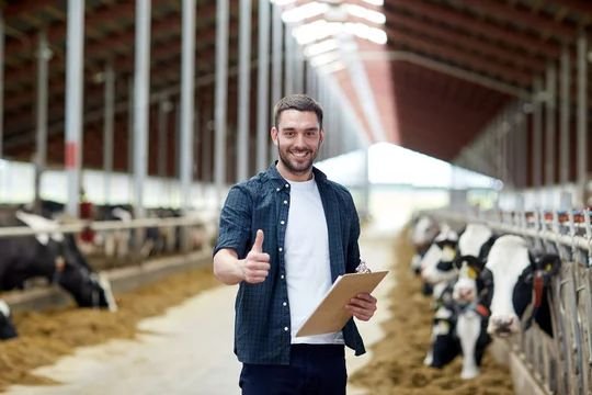 Dairy Farm Assistant Jobs in New Zealand